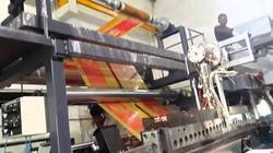 Lamination Plant