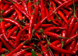 Red Chillies