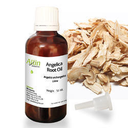 Angelica Root Essential Oil