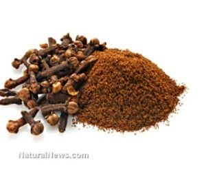 Cloves Powder