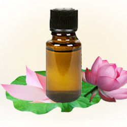 Lotus Absolute Oil