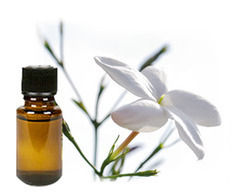 Pure Jasmine Grandiflorum Massage Oil
