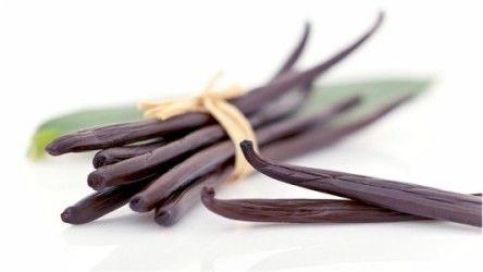 Vanilla Beans