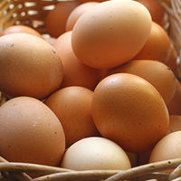  व्हाइट शेल अंडे