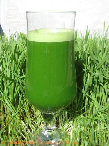 Organic Wheat Grass