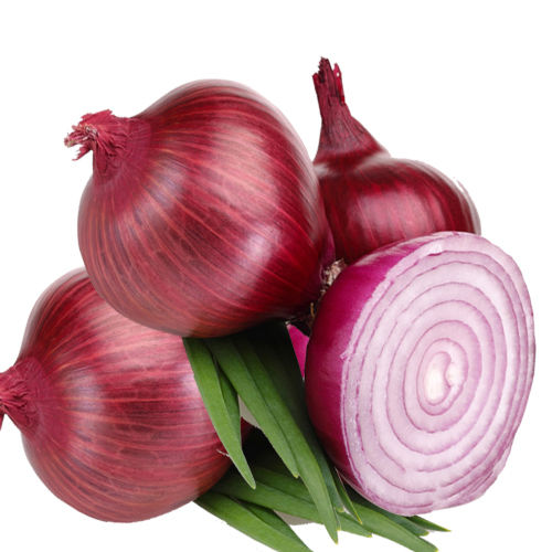 Fresh Onions