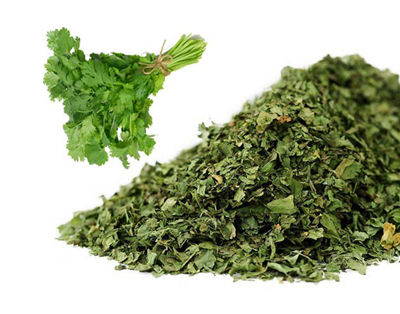 Dehydrated Coriander Leaves - Rich in Vitamins and Calcium, Aromatic Herb for Versatile Culinary Use