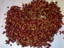 Dry Pomegranate Seed