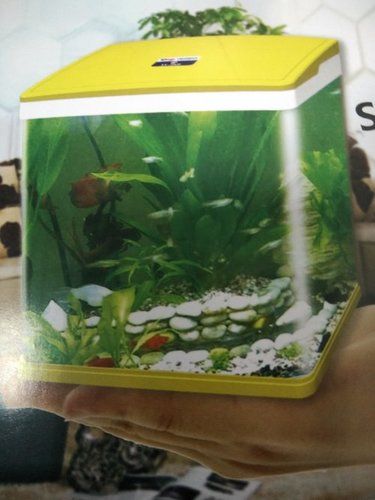 Acrylic Aquariums