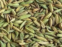 Fennel Seeds