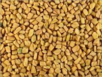 Fenugreek Seeds