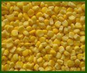 Frozen American Sweet Corn