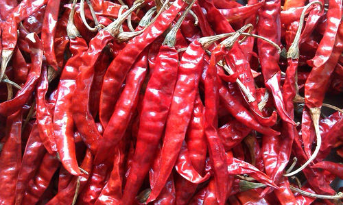 Dried Red Chillies