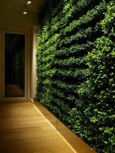 Artificial Green Wall Landscaping Services