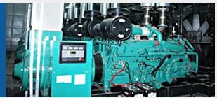 250 kVA (G 1710) Gas Generator Set