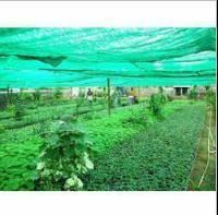 Green Nursery Shade Nets