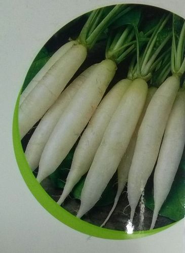 Hybrid Radish