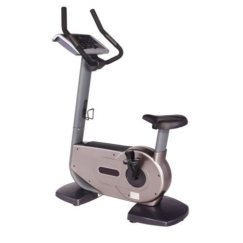 Commercial Upright Bike