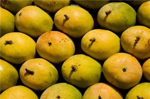 Bangalore Mango