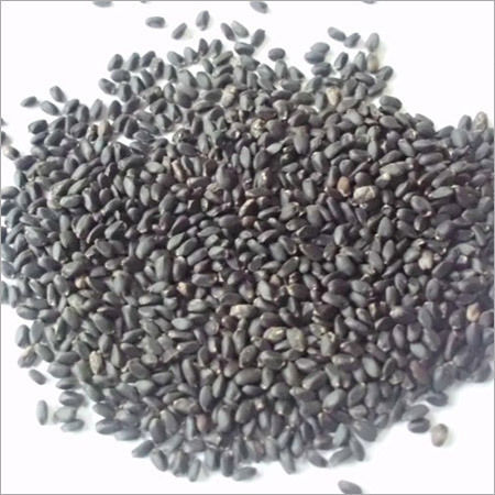 Basil Seeds (Tukhmaria)