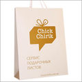 Custom Printed Paper Bag 