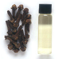 Pure Clove Oil