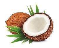 Fresh Coconut