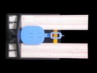 Height Measuring Scale (Precision Model)