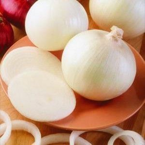 Fresh Onion