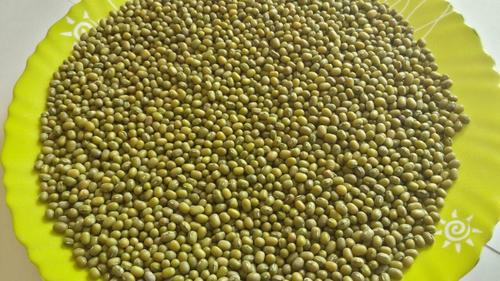 Green Mung Beans