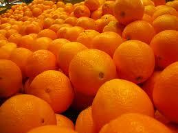 Sweet Fresh Valencia And Navel Fresh Oranges