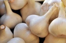 White Garlic