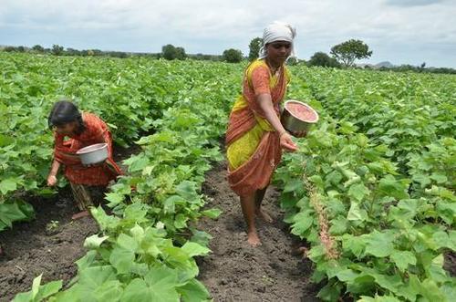 Indian Fertilizers