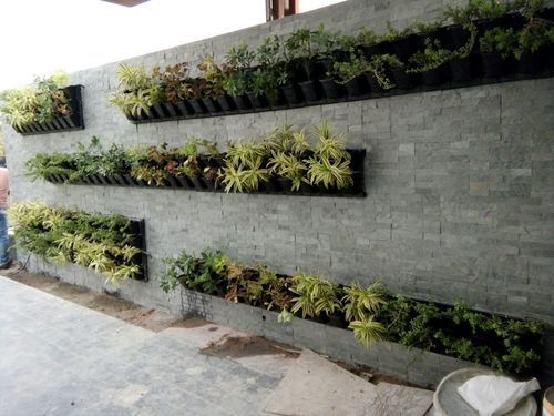 Vertical Garden