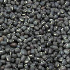 black gram Pulses