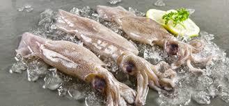 Fresh Squid Fish