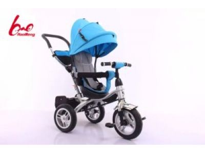 4 In 1 Kids Tricycle Within Sunshade