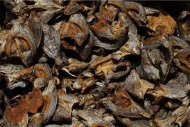 Dried Fish Suitable For: Horses