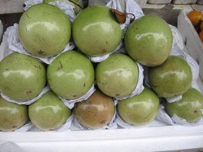 Green Skin. White Flesh Star Apple