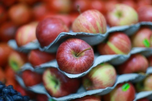 Fresh Apple 