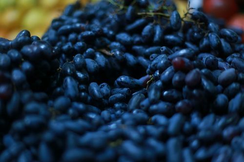 Fresh Black Grapes - Sourced from Trusted Vendors | Premium Quality, High Nutritional Value, Naturally Sweet