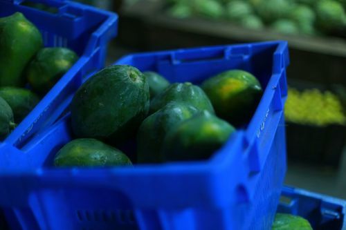 Fresh Green Papaya