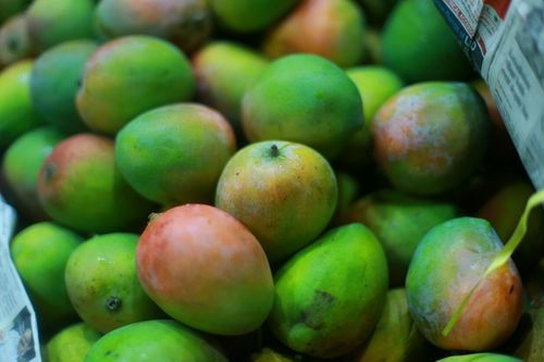 Fresh Mango