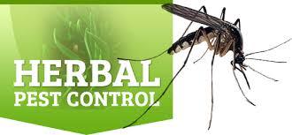 Herbal House Pest Control Service