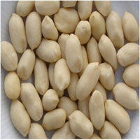 Blanched Peanut