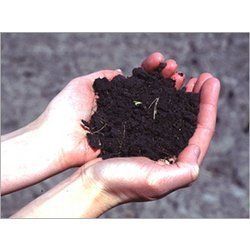 High Grade Organic Manure