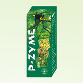 P Zyme Digestive Enzyme syrup