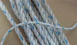 Pp Danline Rope