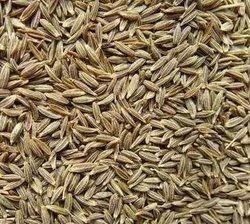 Cumin Seeds - Premium Quality Aromatic Spice , Rich in Medicinal Properties and Health Benefits