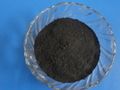 Mn Sol B TM - Bio Fertilizer with Penicillium Citrinum, Effective Soil Inoculant for Enhanced Plant Growth